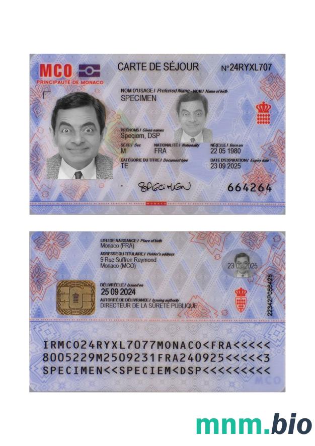Zezwolenie na pobyt w Mongolii edytowalne PSD, Pobierz
